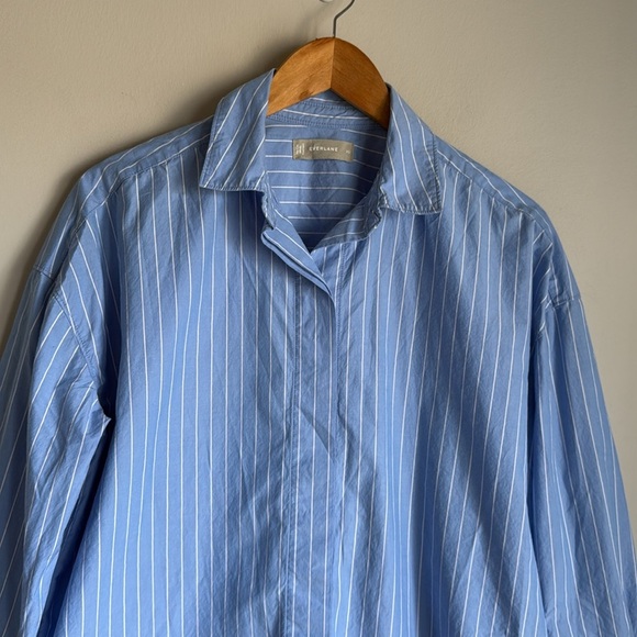 Everlane Blue & White Striped Relaxed Fit Button-Down Shirt XS - Picture 4 of 14